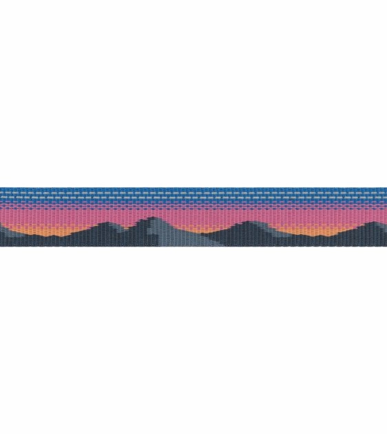 Ruffwear Crag EX? Reflective & Multi-Use Dog Leash (Alpine Dusk)