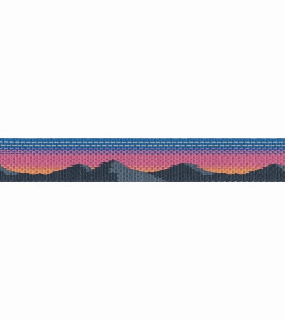 Ruffwear Crag EX? Reflective & Multi-Use Dog Leash (Alpine Dusk)