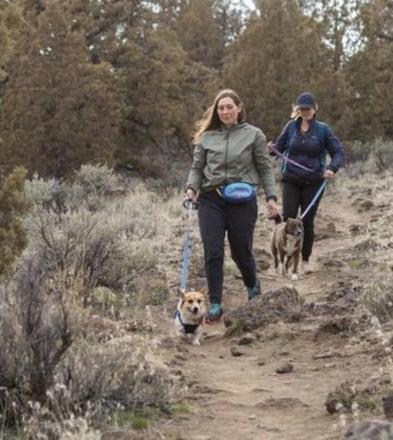 Ruffwear Crag EX? Reflective & Multi-Use Dog Leash (Rising Wave)
