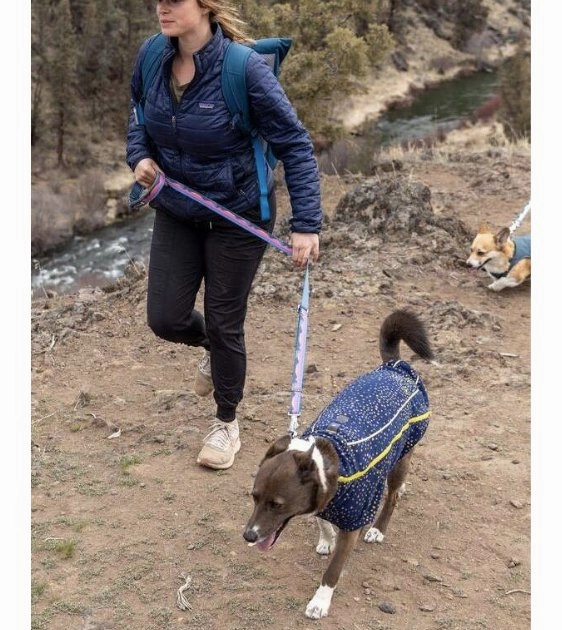 Ruffwear Crag EX? Reflective & Multi-Use Dog Leash (Rising Wave)