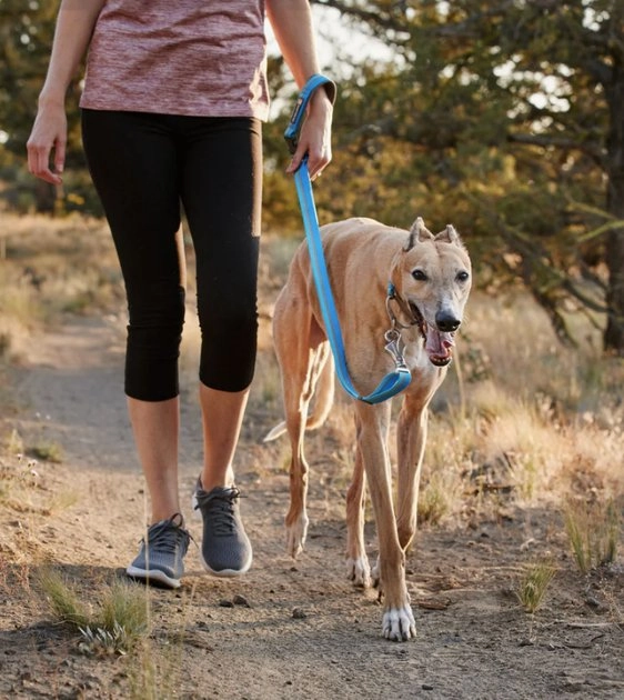 Ruffwear Crag? Reflective & Multi-Use Dog Leash (Alpine Dawn)