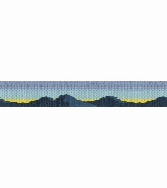 Ruffwear Crag? Reflective & Multi-Use Dog Leash (Alpine Dawn)
