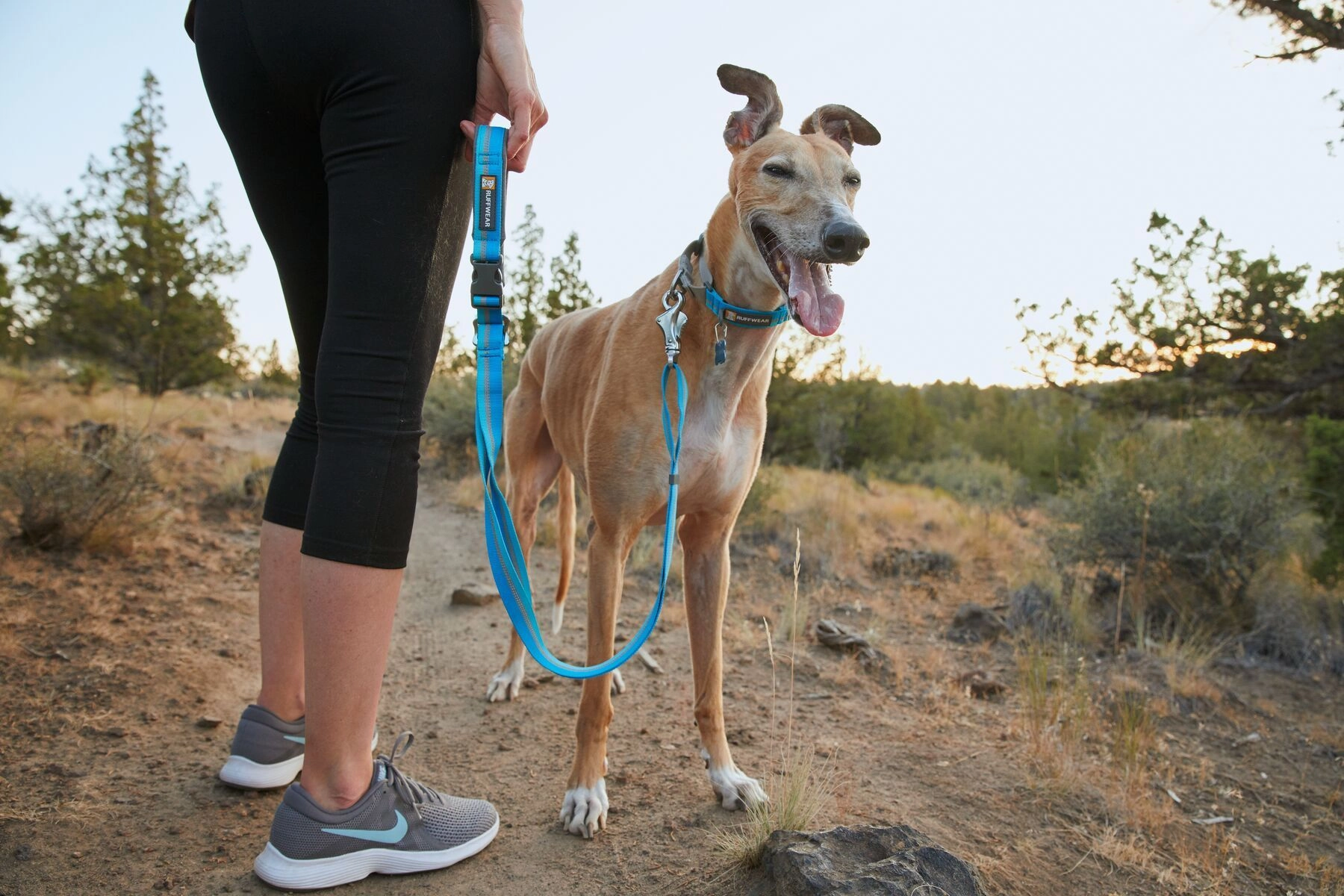 Ruffwear Crag? Reflective & Multi-Use Dog Leash (Cindercone Red)