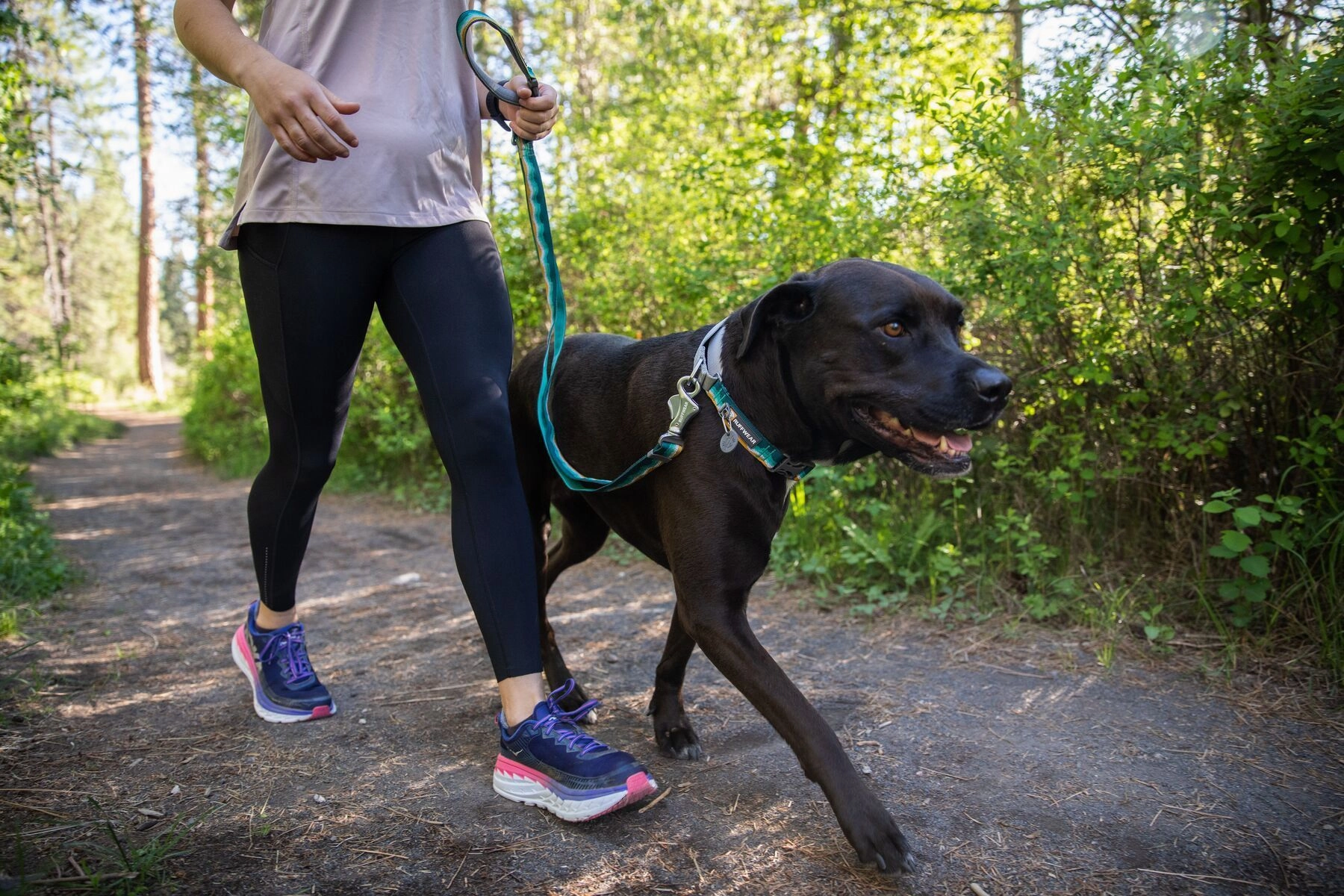 Ruffwear Crag? Reflective & Multi-Use Dog Leash (Cindercone Red)