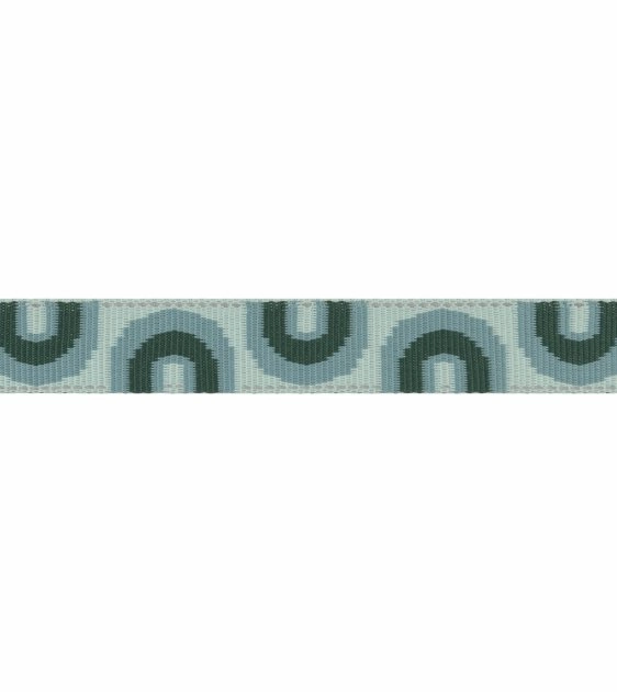Ruffwear Crag? Reflective & Multi-Use Dog Leash (Grassy Oxbow)