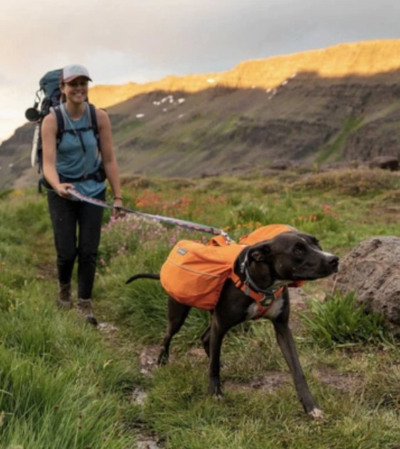 Ruffwear Crag? Reflective & Multi-Use Dog Leash (Rising Wave)