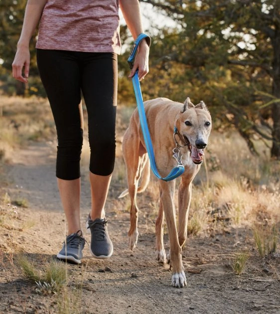 Ruffwear Crag? Reflective & Multi-Use Dog Leash (Rising Wave)