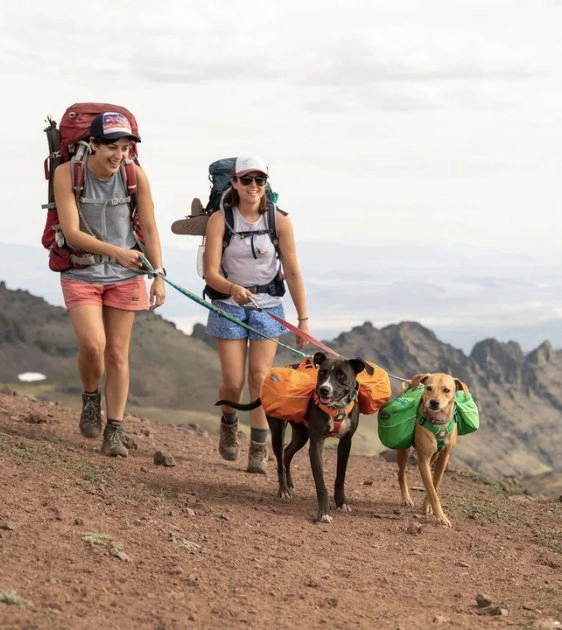 Ruffwear Crag? Reflective & Multi-Use Dog Leash (Rising Wave)