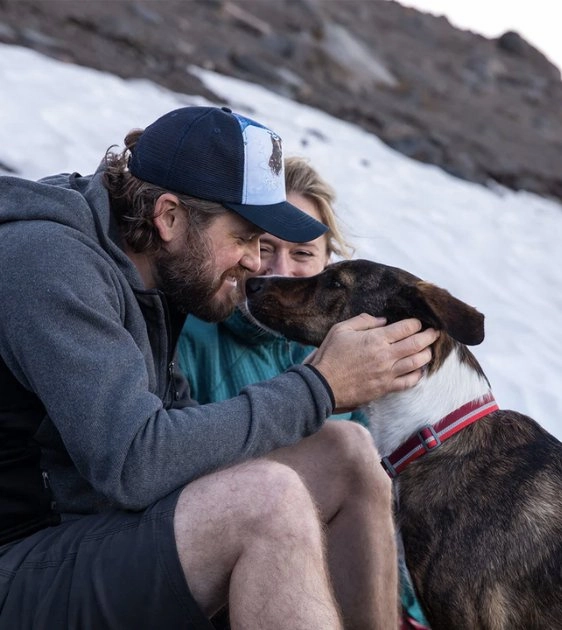 Ruffwear Crag? Reflective Dog Collar (Alpine Dusk)