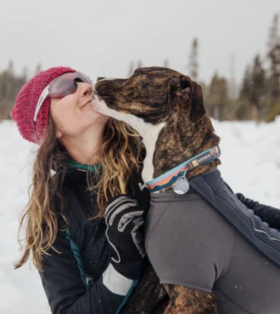 Ruffwear Crag? Reflective Dog Collar (Alpine Dusk)