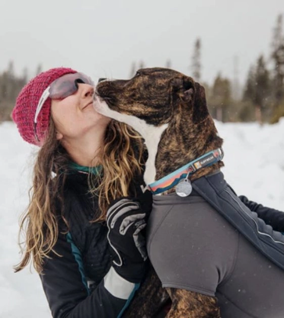Ruffwear Crag? Reflective Dog Collar (Canyon Oxbow)