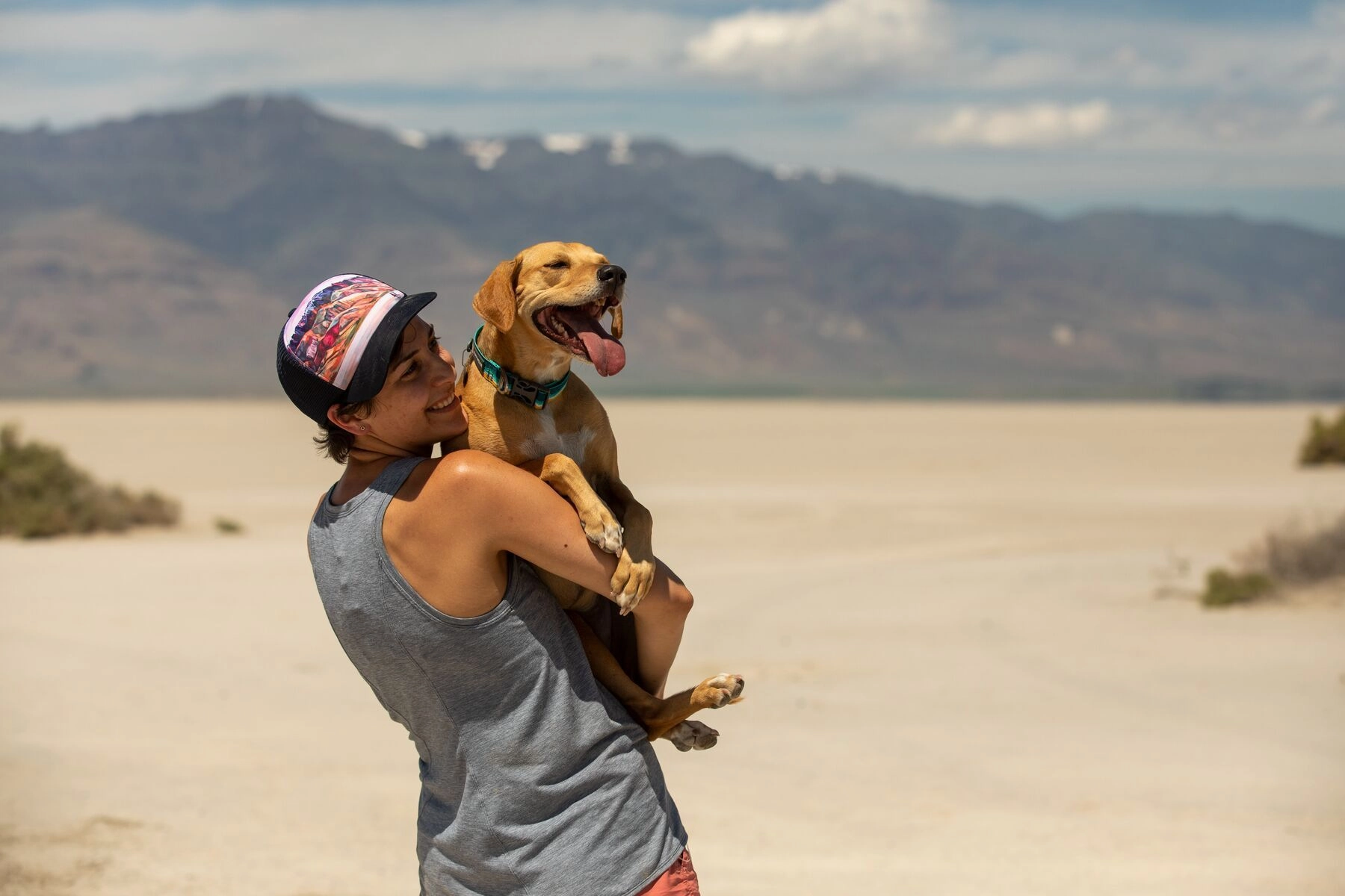 Ruffwear Crag? Reflective Dog Collar (Sunset)