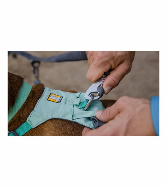 Ruffwear Double Track? 2-Dog Bungee Dog Leash Coupler