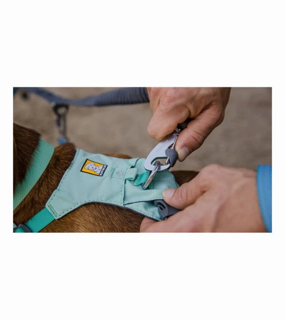 Ruffwear Double Track? 2-Dog Bungee Dog Leash Coupler