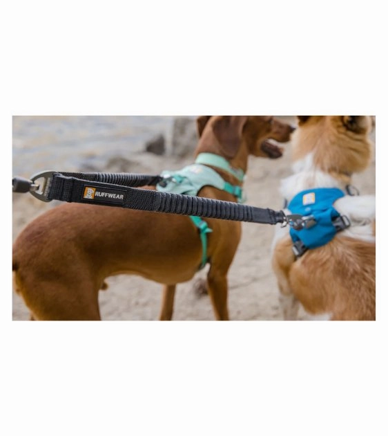 Ruffwear Double Track? 2-Dog Bungee Dog Leash Coupler