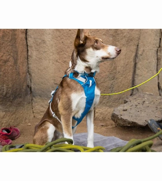 Ruffwear Flagline? Lightweight & Multi-Use Dog Harness with Handle (Lichen Green)
