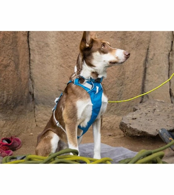 Ruffwear Flagline? Lightweight & Multi-Use Dog Harness with Handle (Lichen Green)