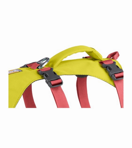 Ruffwear Flagline? Lightweight & Multi-Use Dog Harness with Handle (Lichen Green)