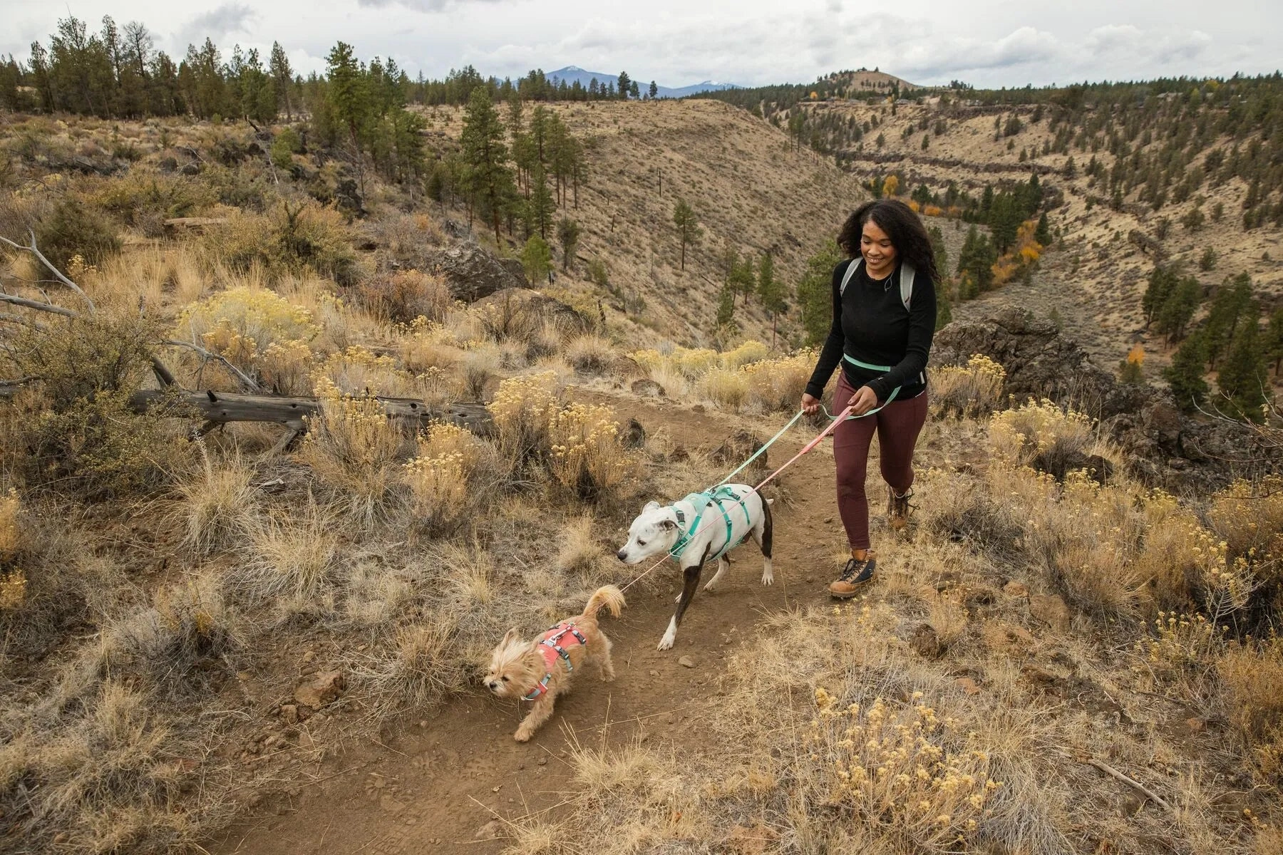 Ruffwear Flagline? Lightweight & Multi-Use Dog Harness with Padded Handle (Alpenglow Pink)