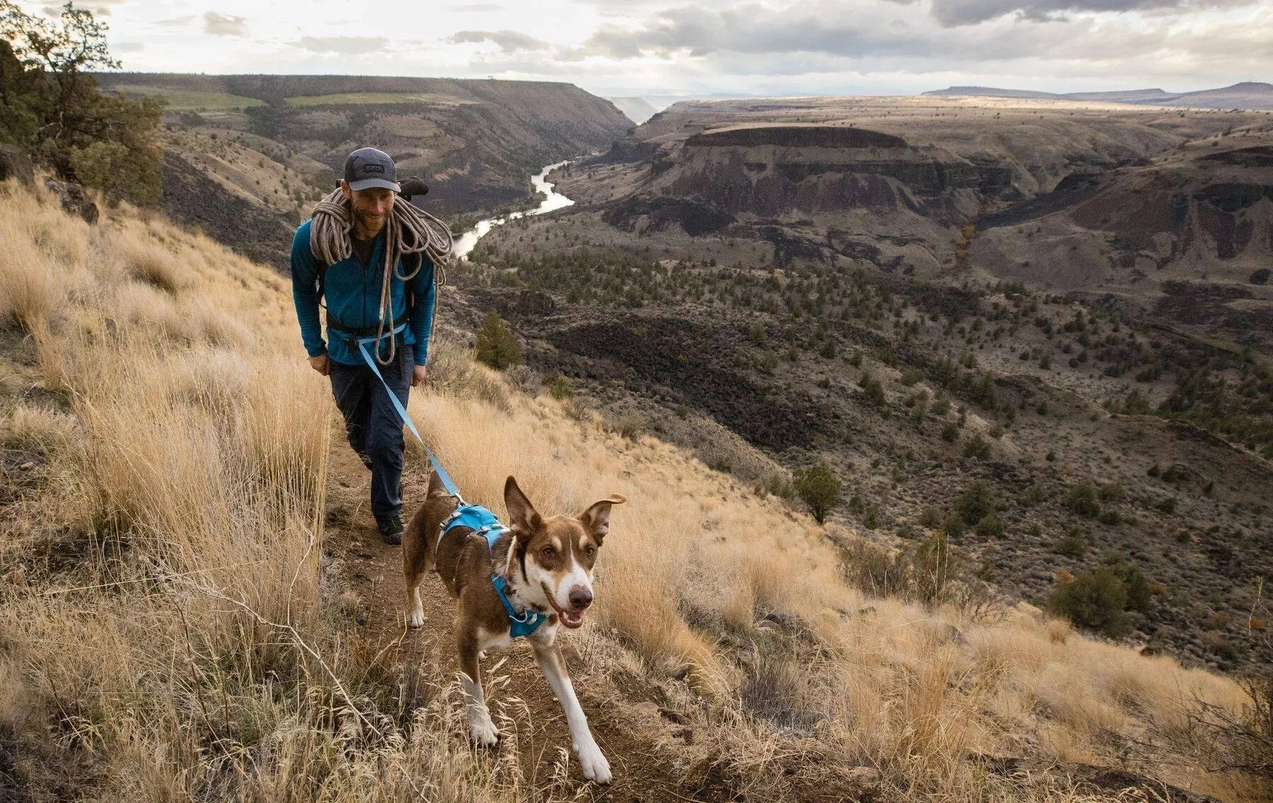 Ruffwear Flagline? Lightweight Dog Leash (Alpenglow Pink)