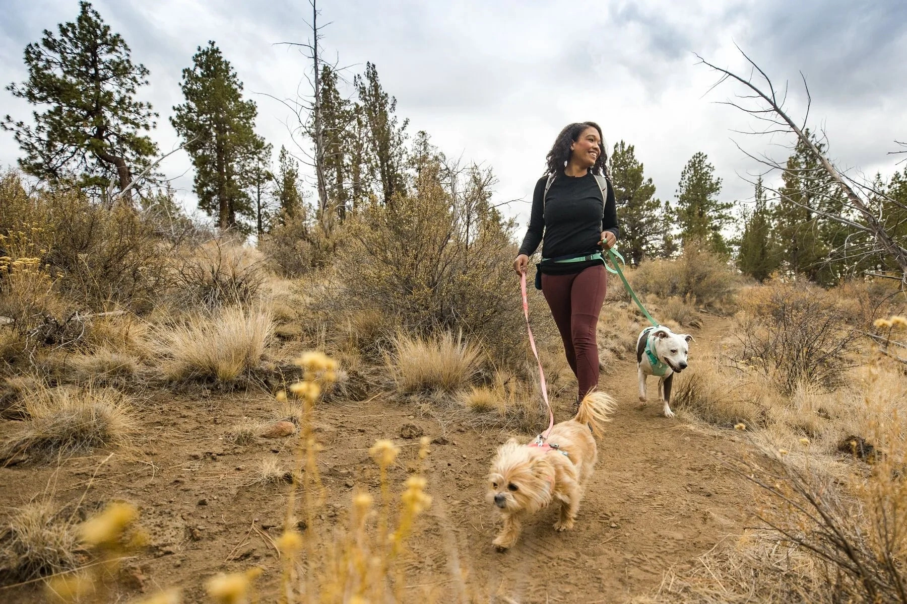 Ruffwear Flagline? Lightweight Dog Leash (Alpenglow Pink)
