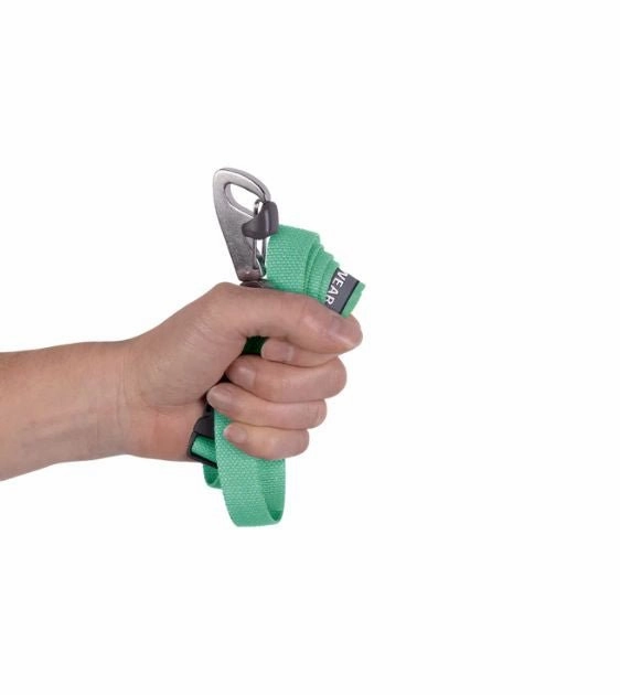 Ruffwear Flagline? Lightweight Dog Leash (Sage Green)