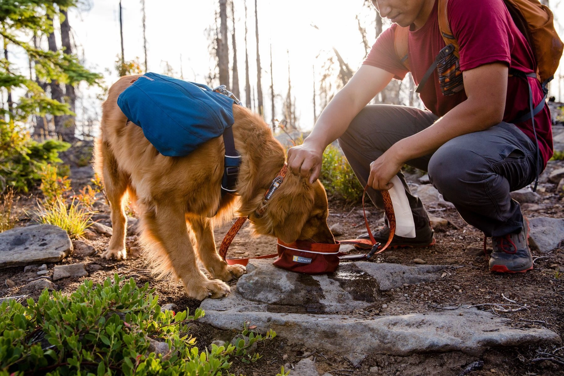 Ruffwear Flat Out? Patterned & Multi-Use Dog Leash (Ember Distortion)