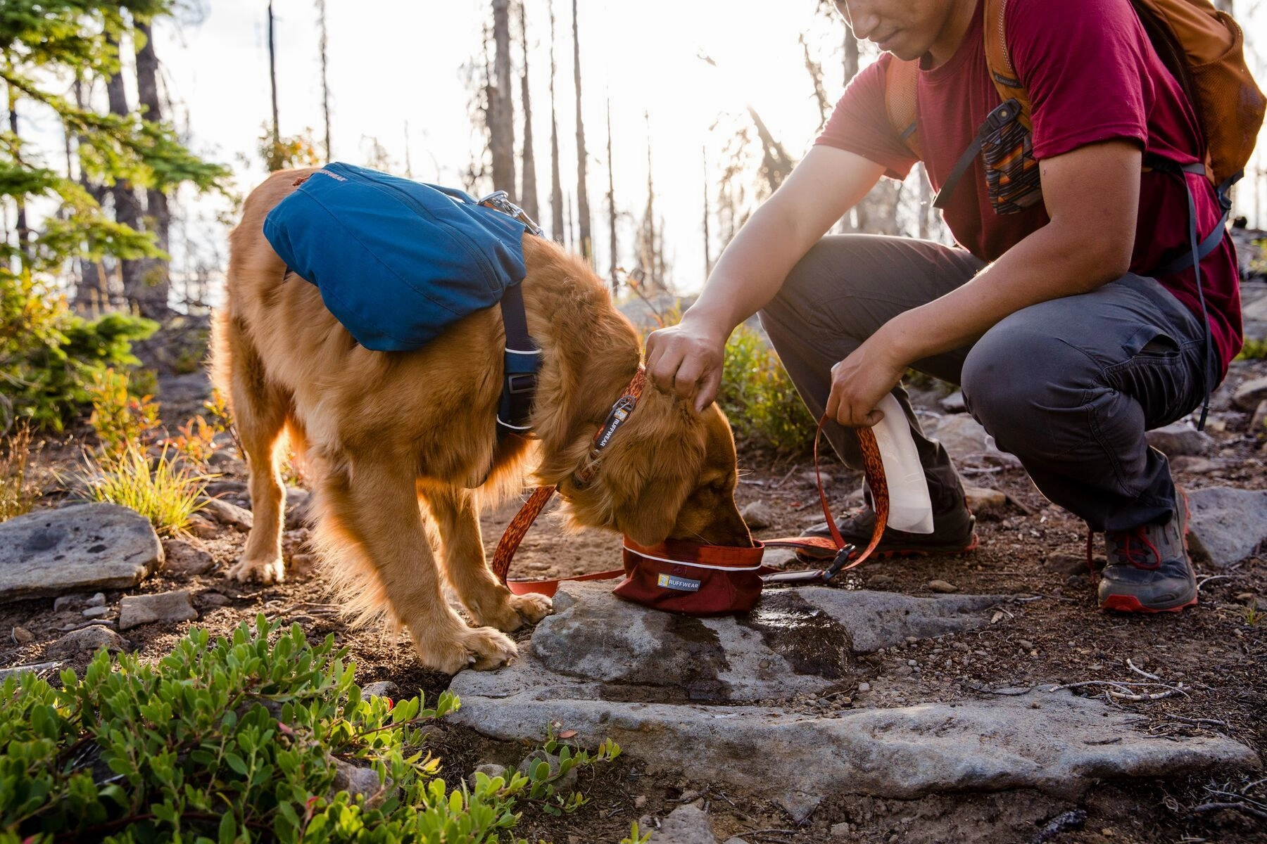Ruffwear Flat Out? Patterned & Multi-Use Dog Leash (Wildflower Horizon)