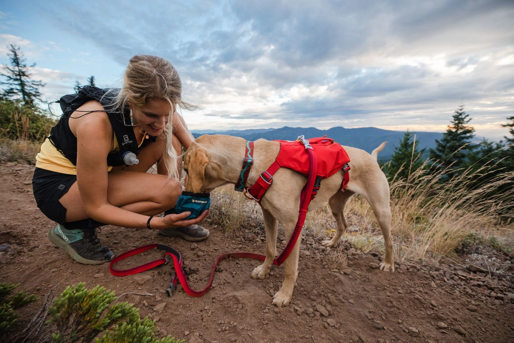 Ruffwear Flat Out? Patterned Dog Collar (Fall Mountains)