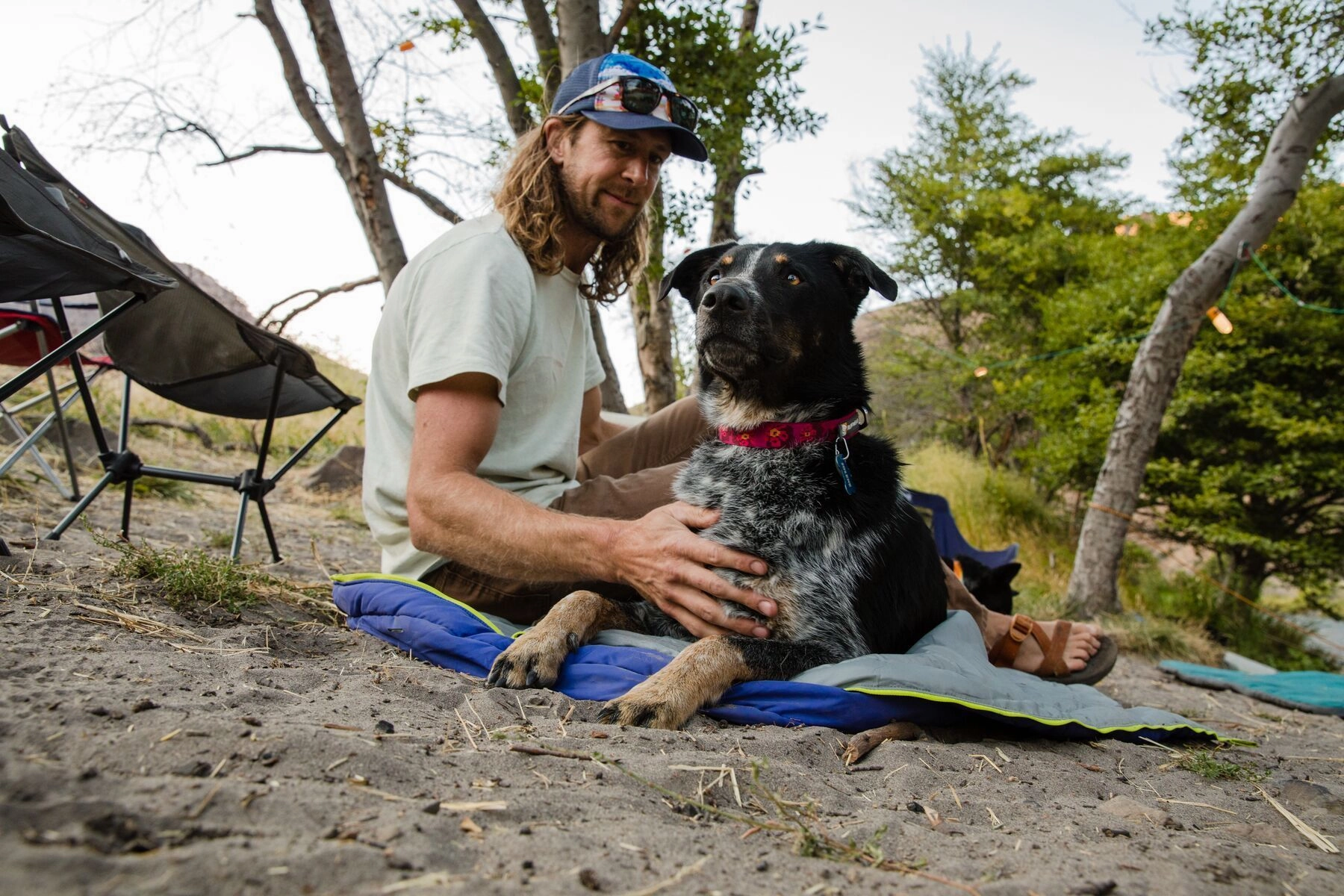 Ruffwear Flat Out? Patterned Dog Collar (Wildflower Horizon)