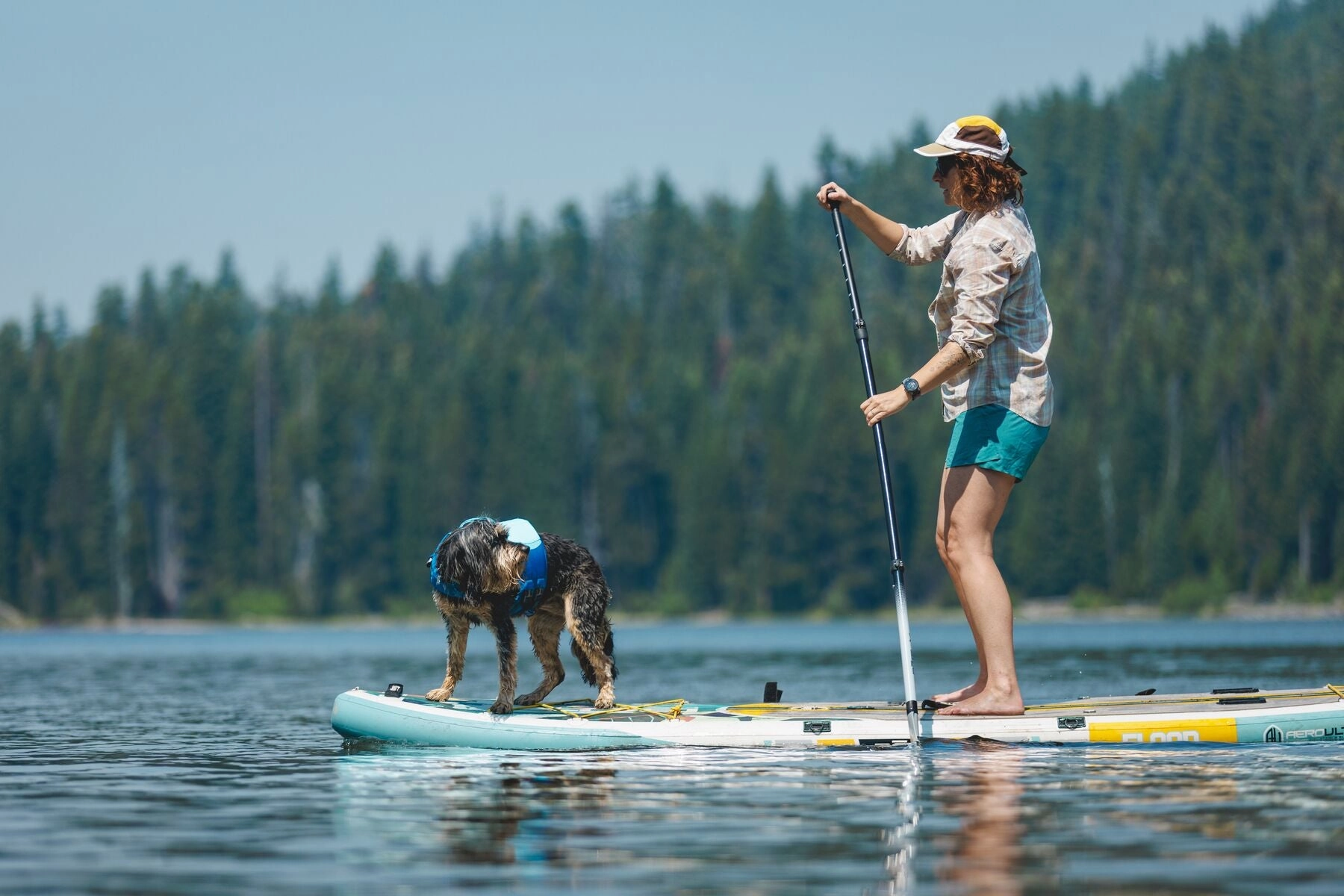 Ruffwear Float Coat Dog Life Jacket (Deep Blue)