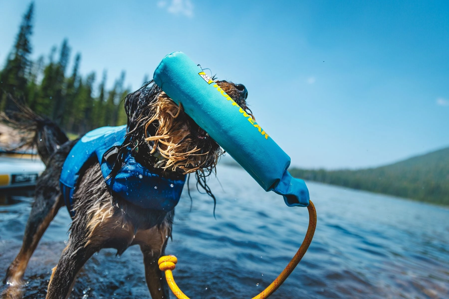 Ruffwear Float Coat Dog Life Jacket (Deep Blue)