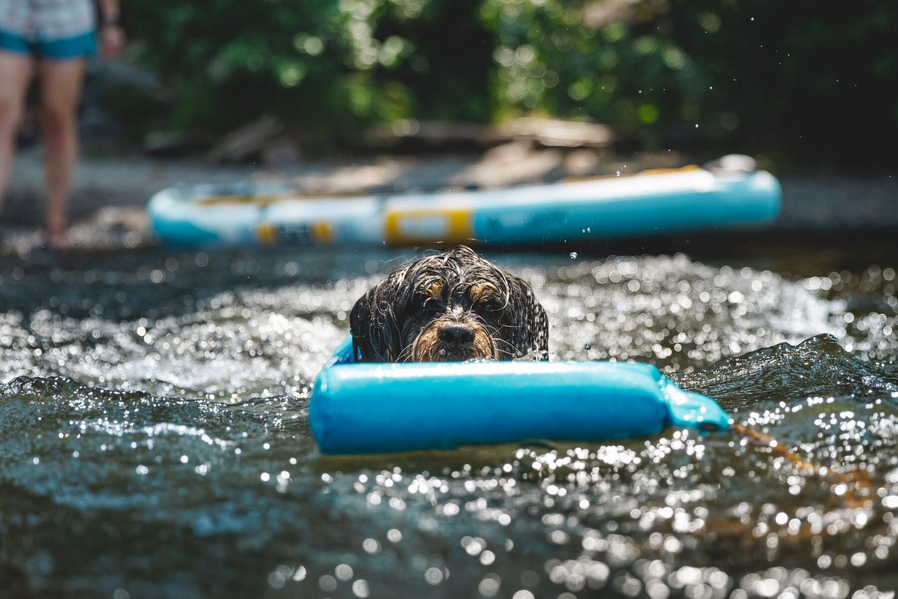 Ruffwear Float Coat Dog Life Jacket (Deep Blue)