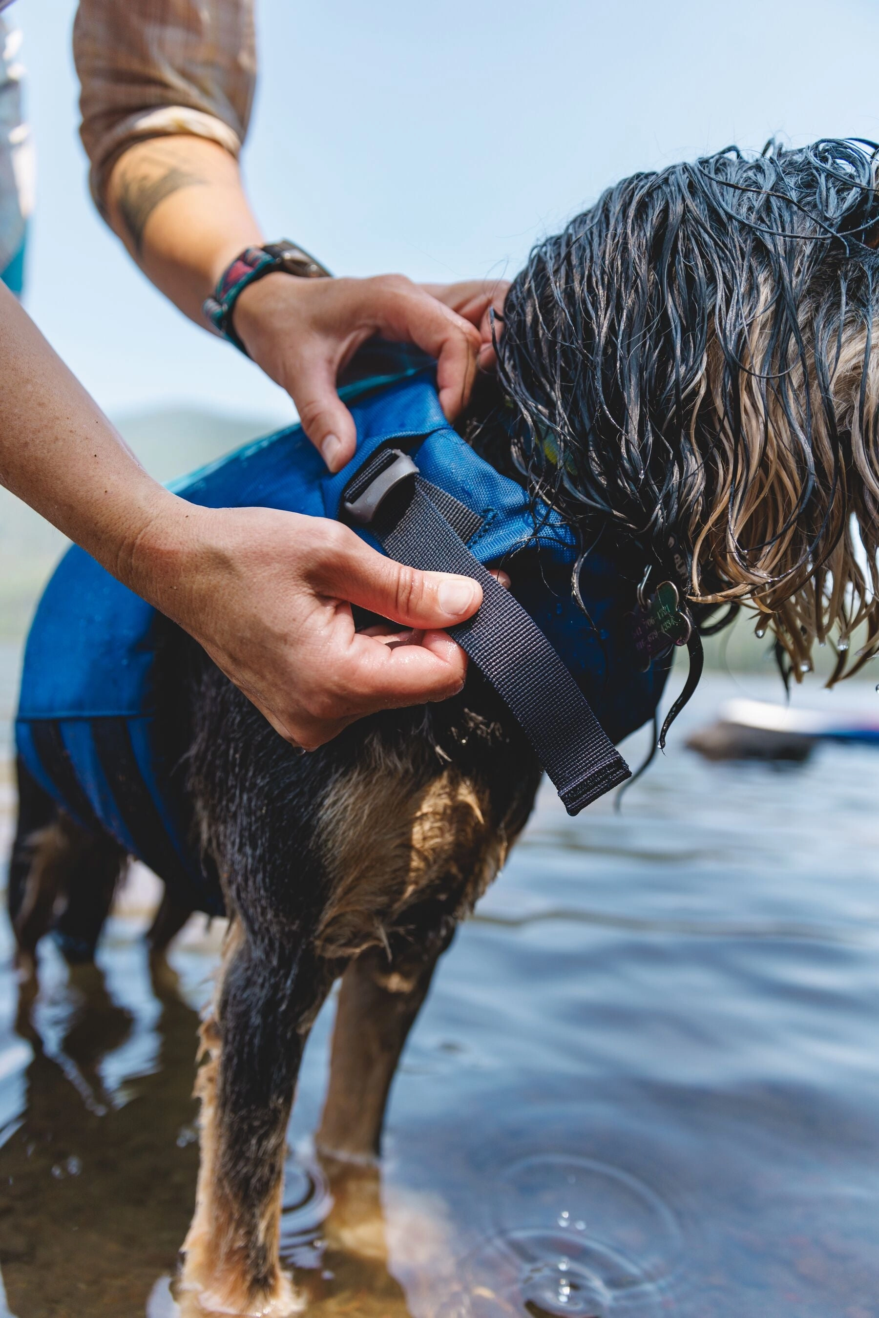 Ruffwear Float Coat Dog Life Jacket (Deep Blue)