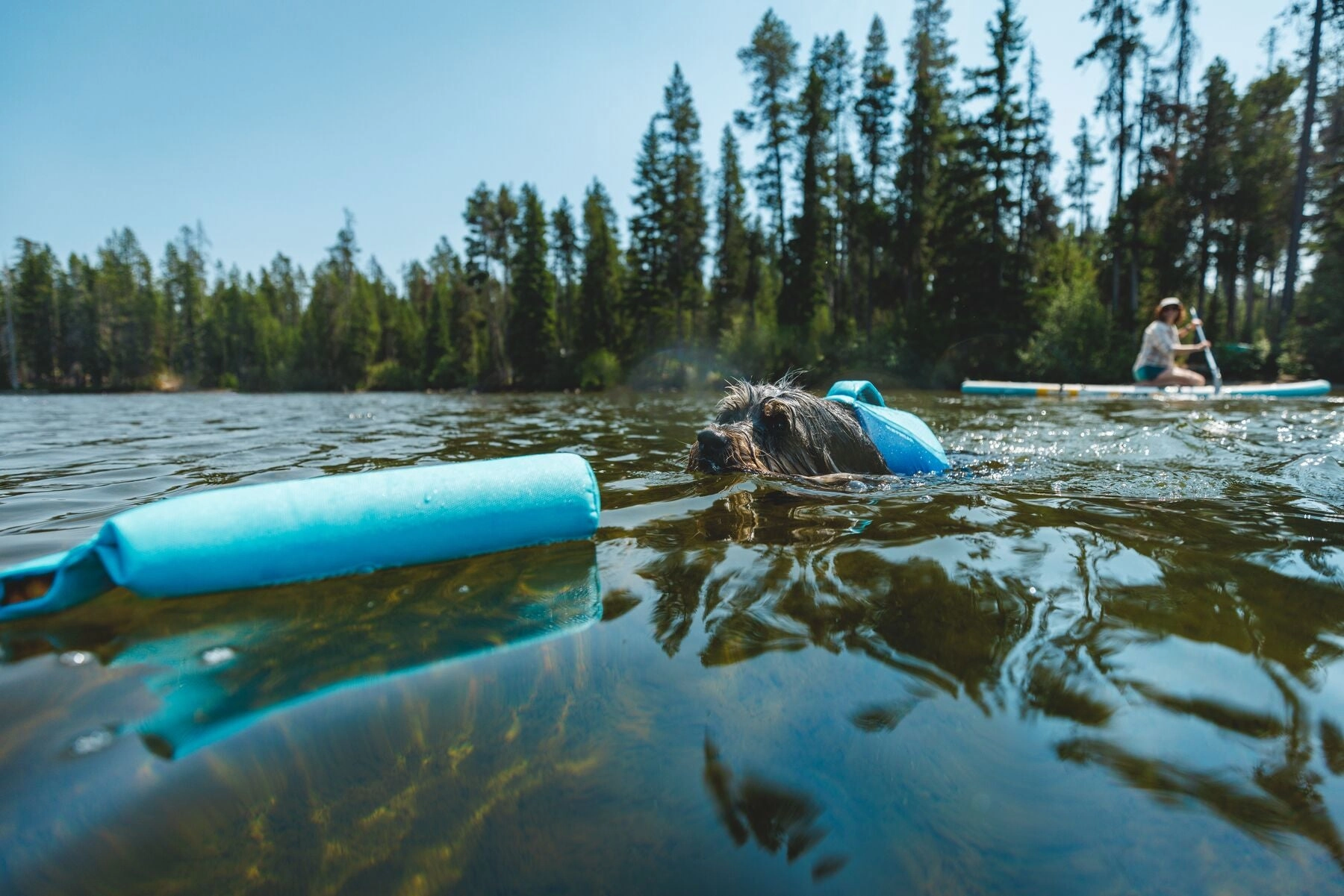 Ruffwear Float Coat Dog Life Jacket (Deep Blue)