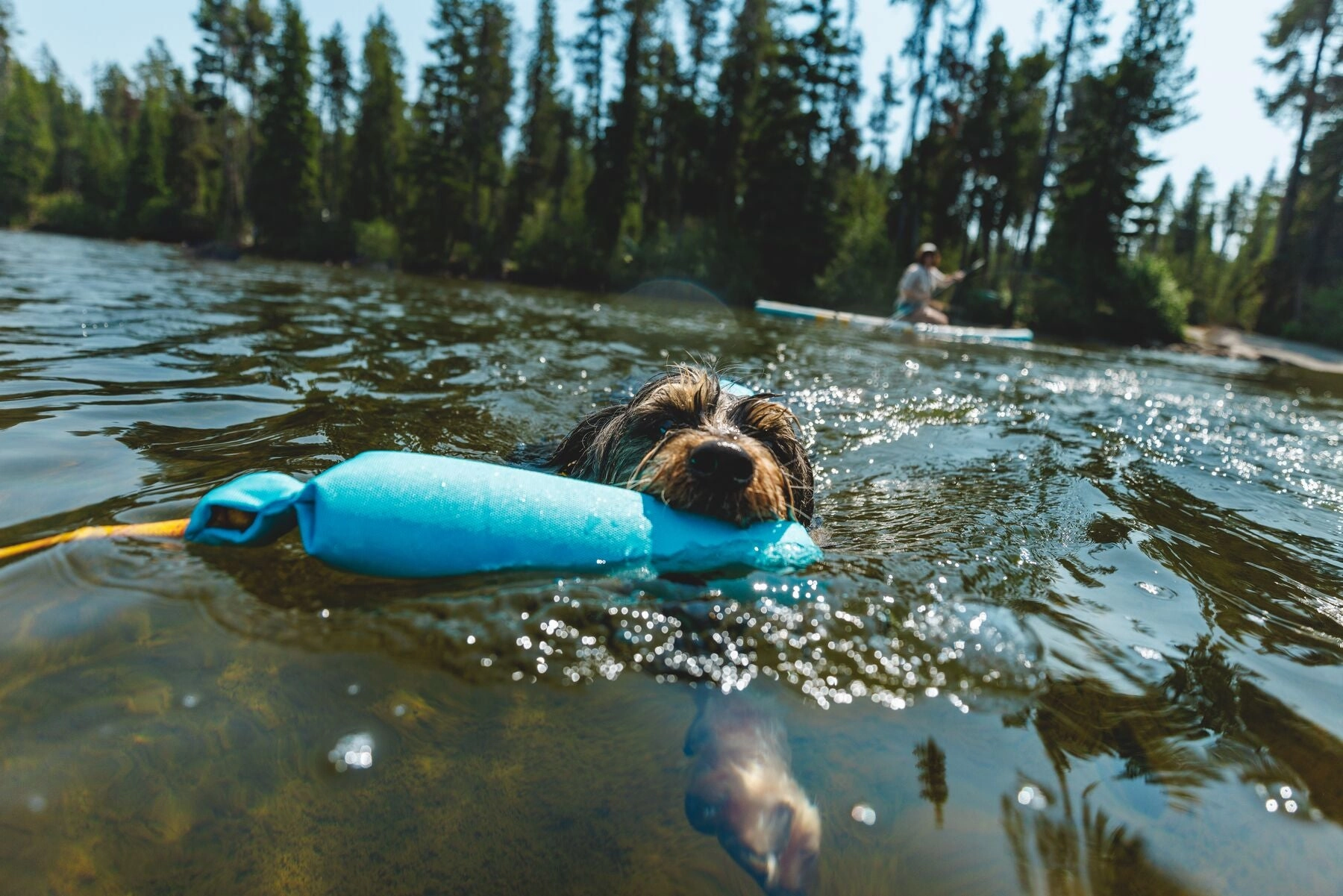 Ruffwear Float Coat Dog Life Jacket (Deep Blue)