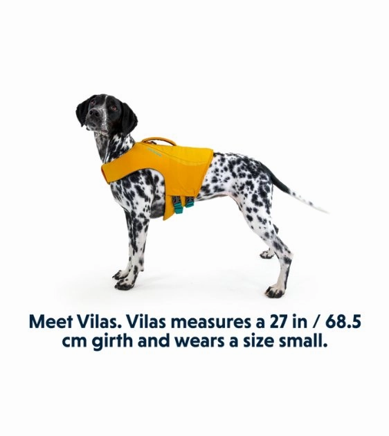 Ruffwear Float Coat Dog Life Jacket (Wave Orange)