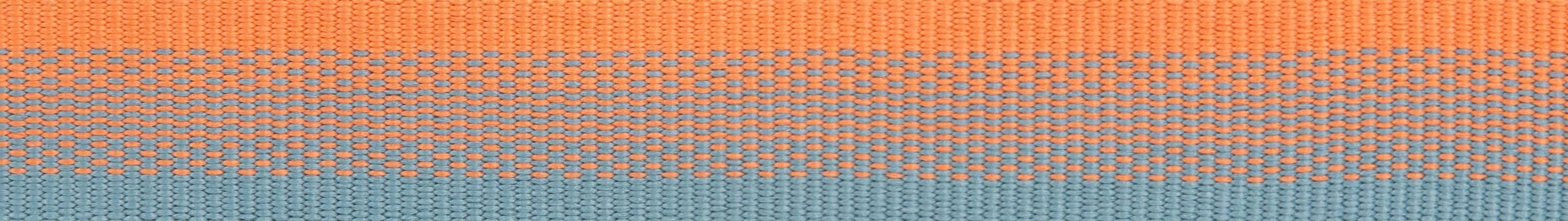 Ruffwear Front Range? Dog Leash With Padded Handle (Spring Fade)
