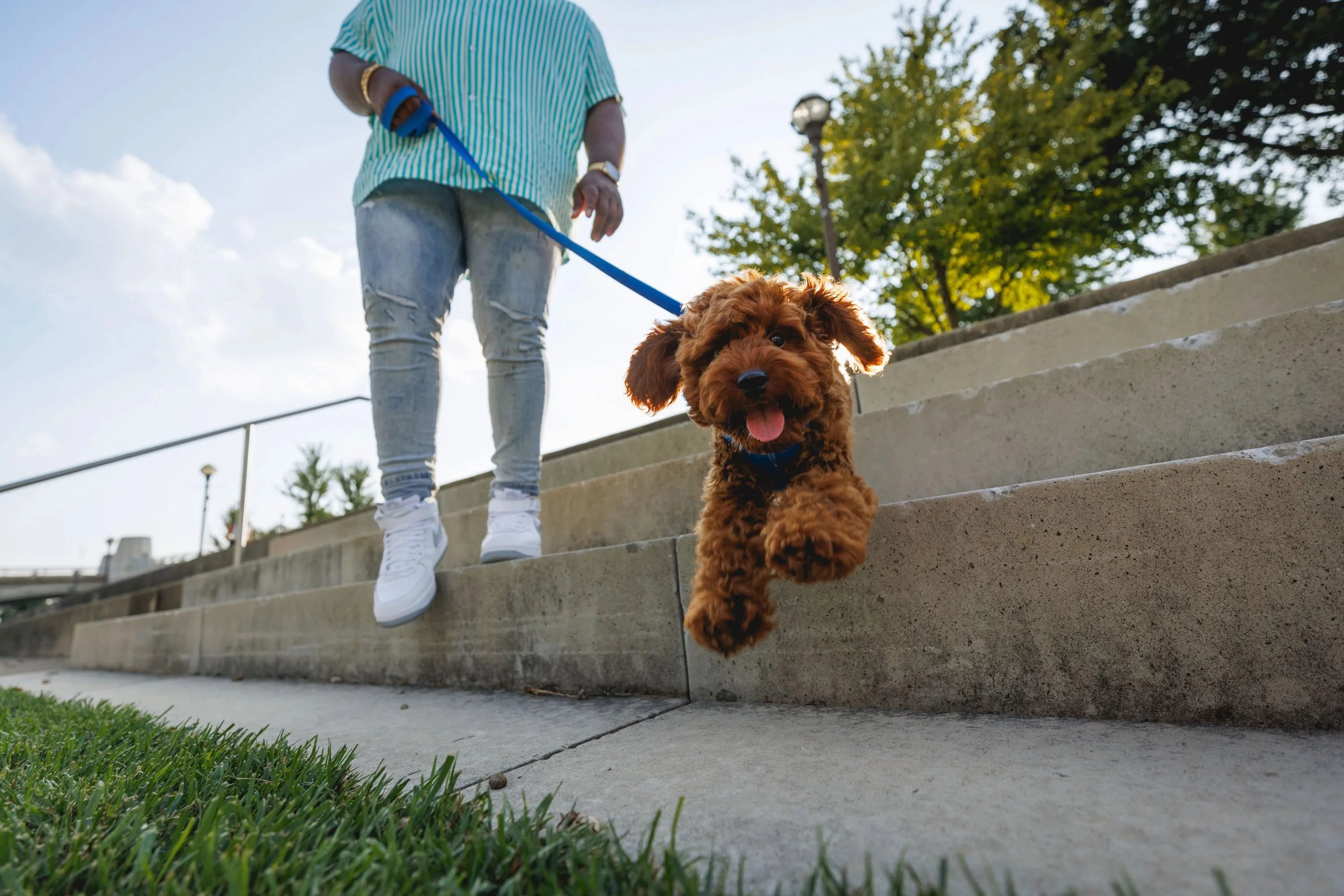 Ruffwear Front Range? Dog Leash With Padded Handle (Spring Fade)