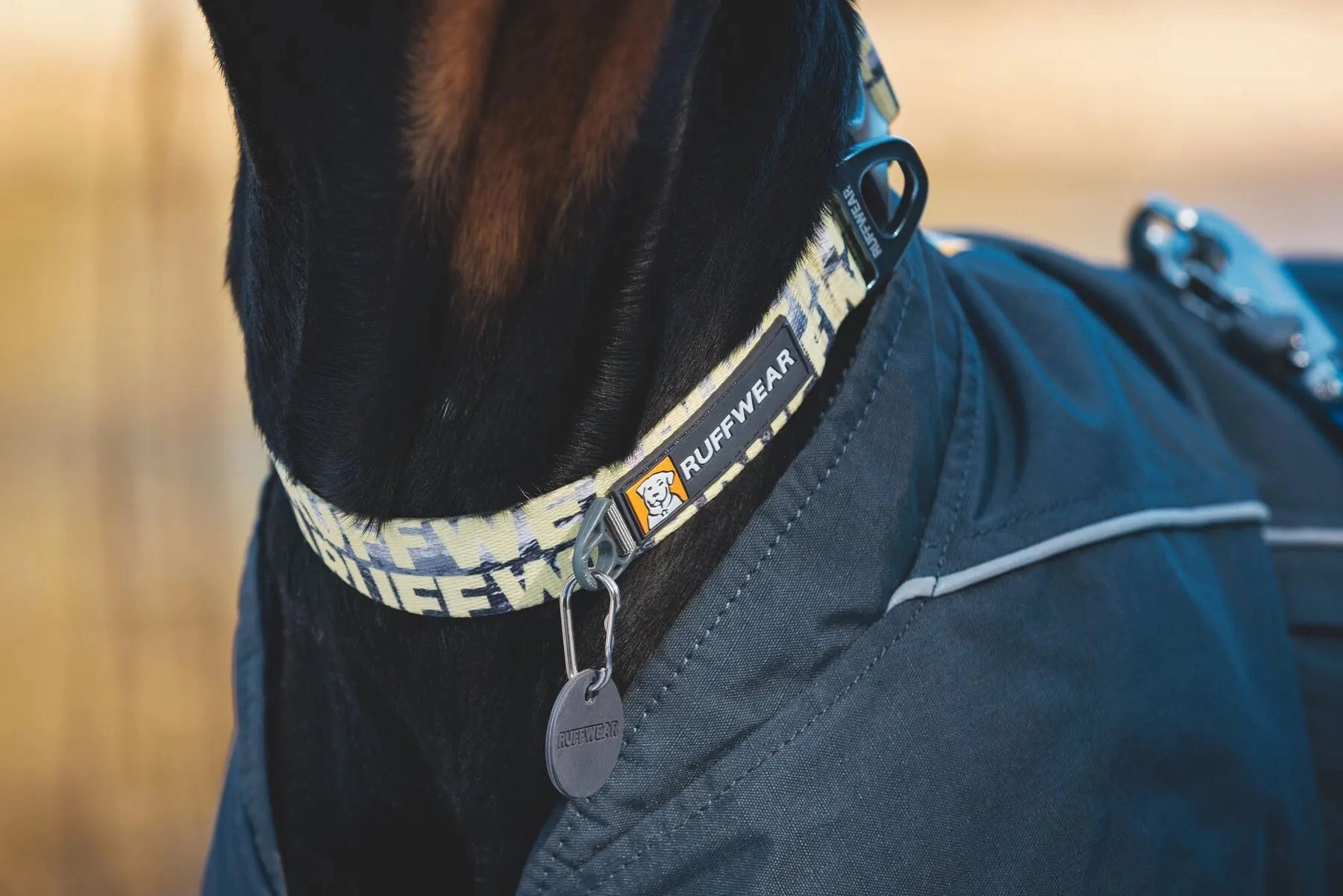 Ruffwear Front Range? Everyday Dog Collar (Reef Fish)