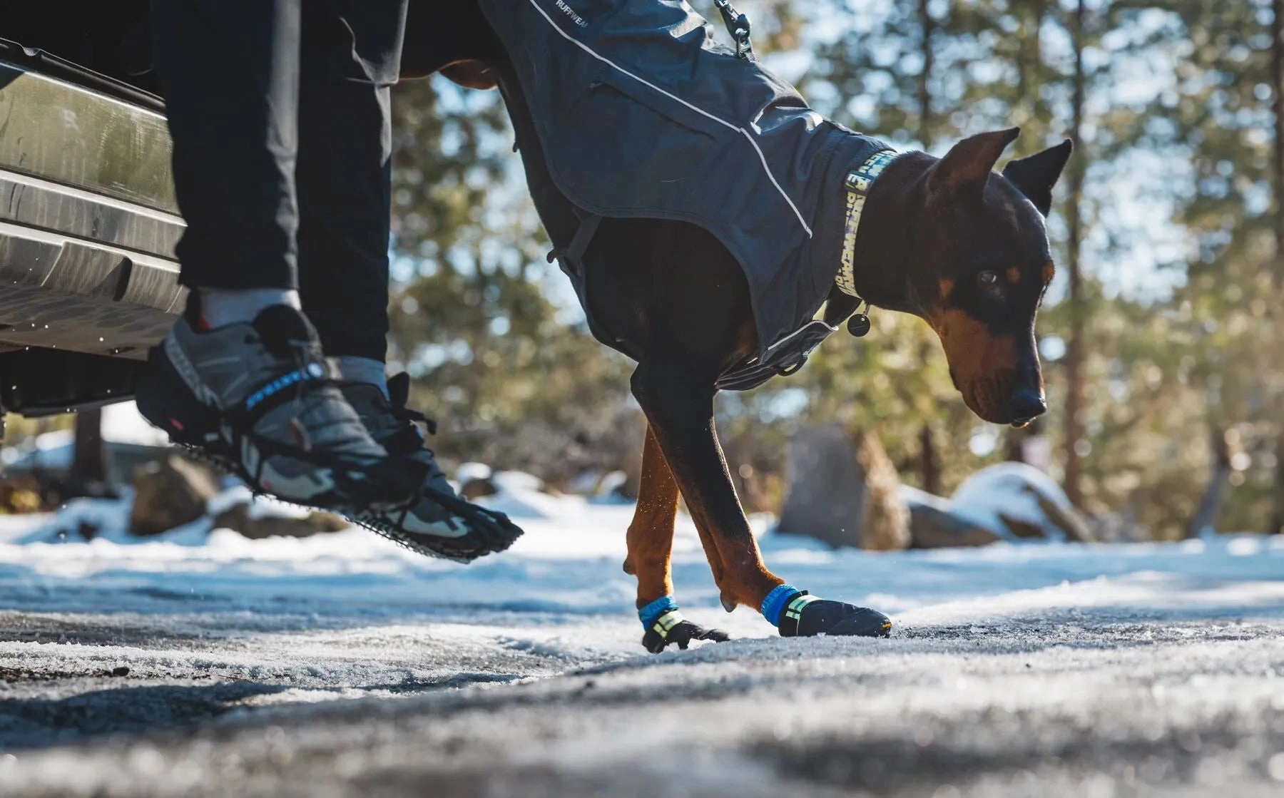 Ruffwear Front Range? Everyday Dog Collar (Reef Fish)