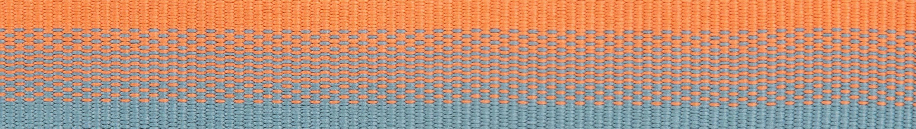 Ruffwear Front Range? Everyday Dog Collar (Spring Fade)
