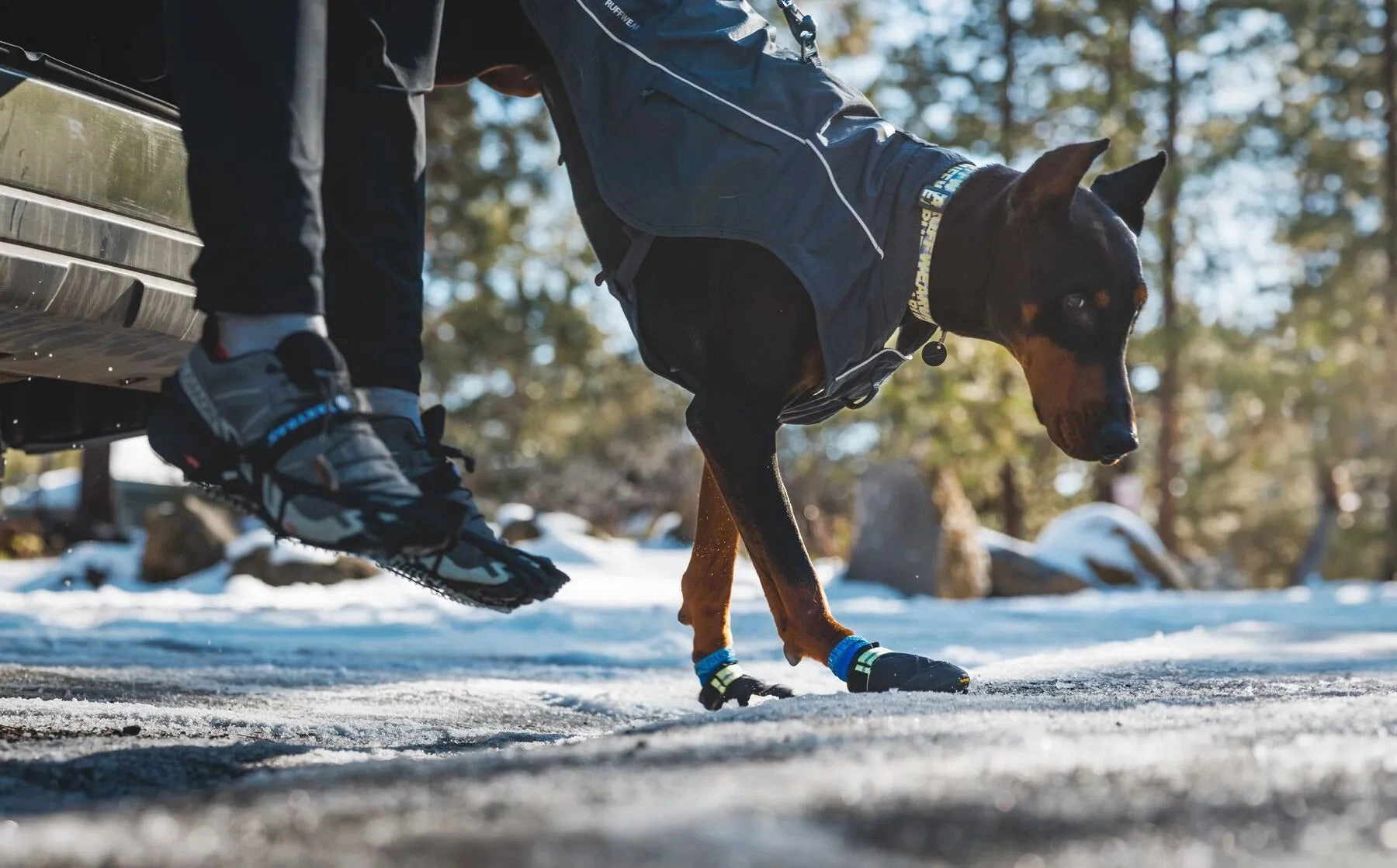 Ruffwear Front Range? Everyday Dog Collar (Wildflower)