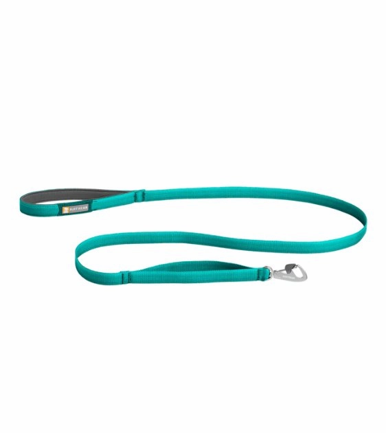 Ruffwear Front Range? Lightweight Dog Leash With Padded Handle (Aurora Teal) dog joint care,hip support