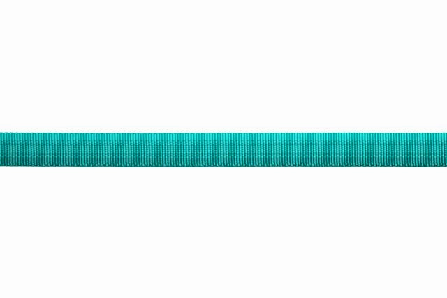 Ruffwear Front Range? Lightweight Dog Leash With Padded Handle (Aurora Teal)
