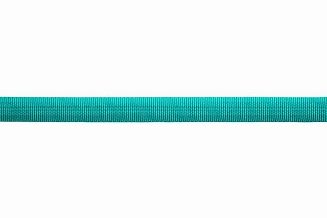 Ruffwear Front Range? Lightweight Dog Leash With Padded Handle (Aurora Teal)