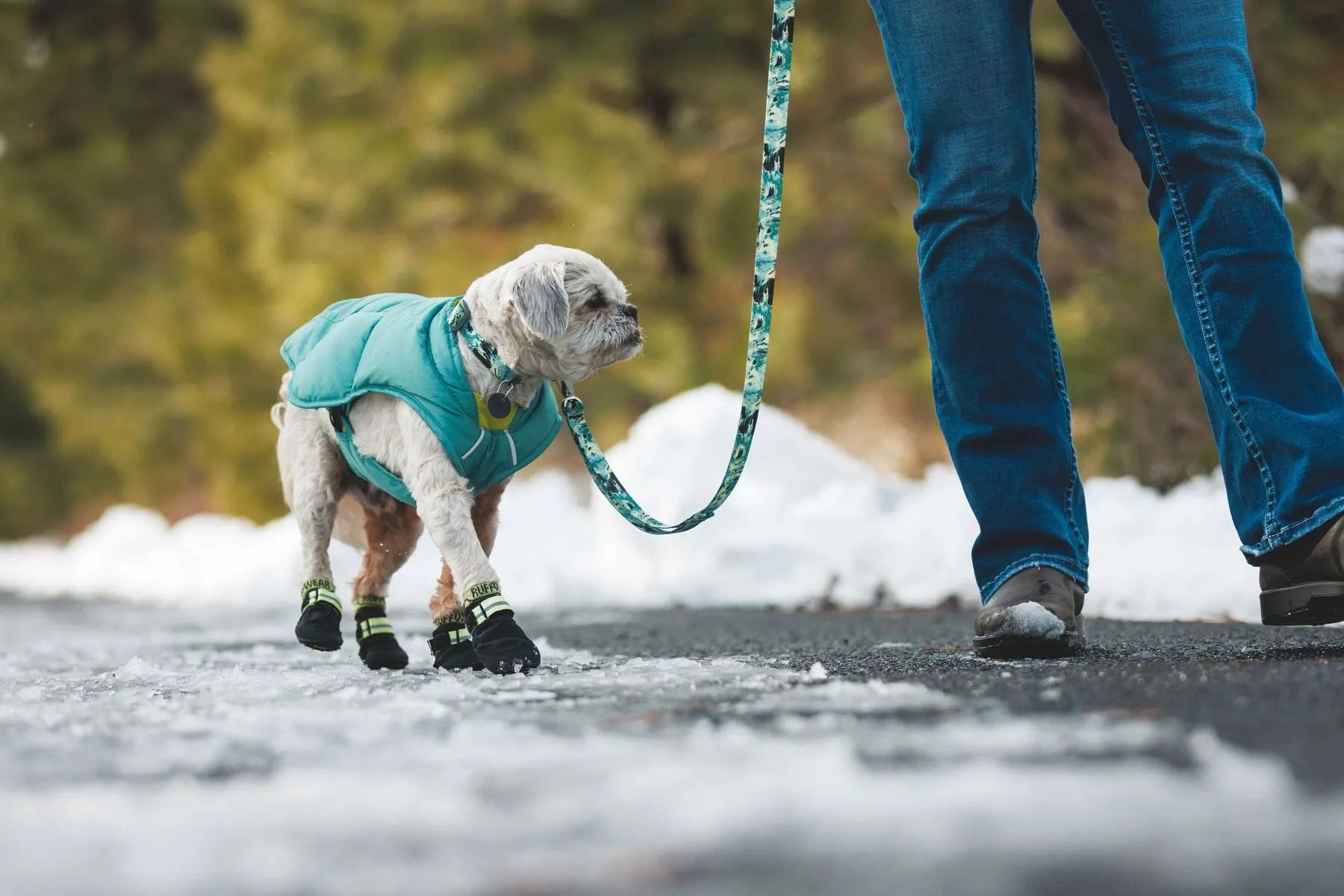 Ruffwear Front Range? Lightweight Dog Leash With Padded Handle (Sweeping Sage)