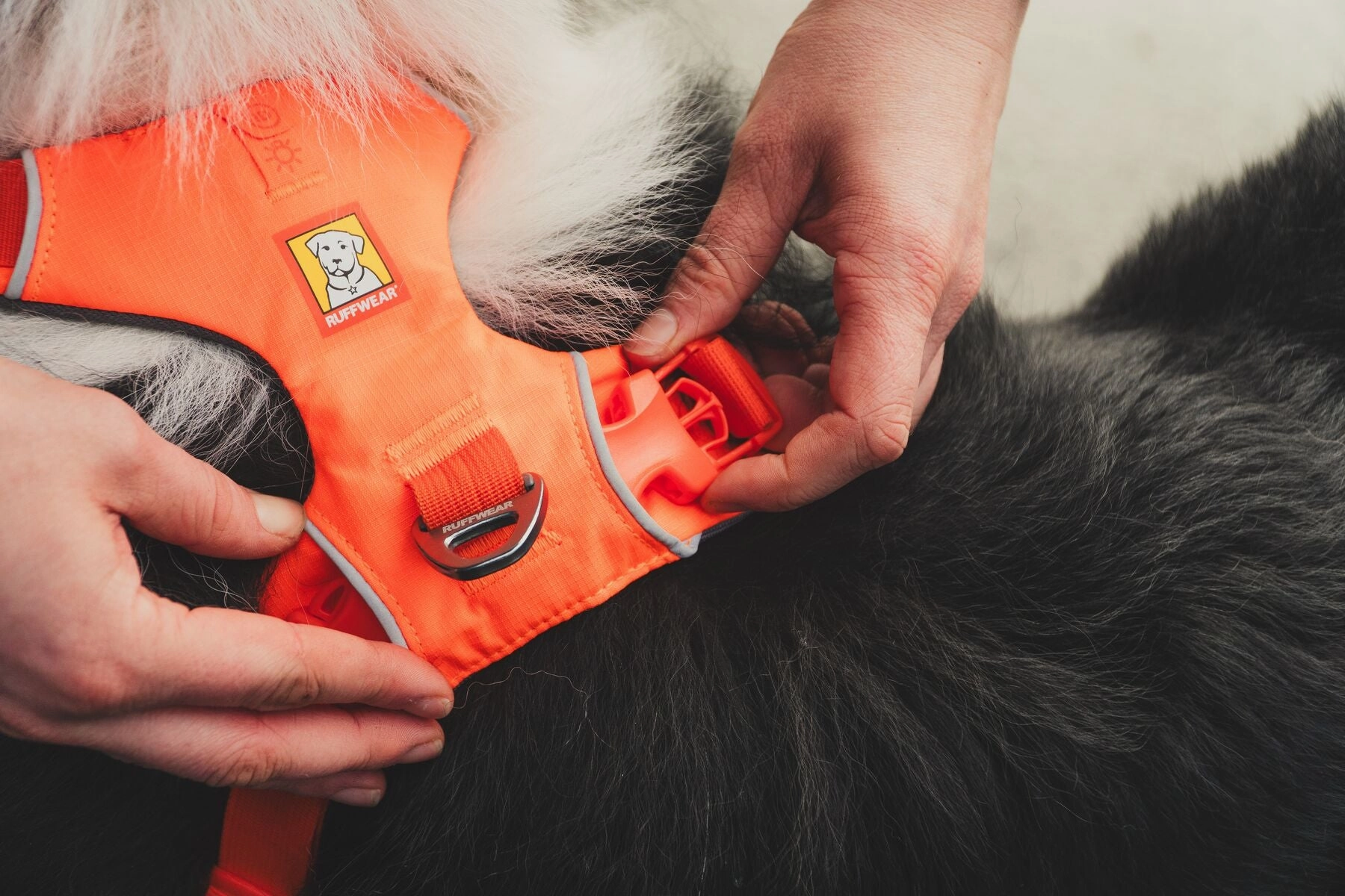 Ruffwear Front Range? Padded Dog Harness (Blaze Orange)