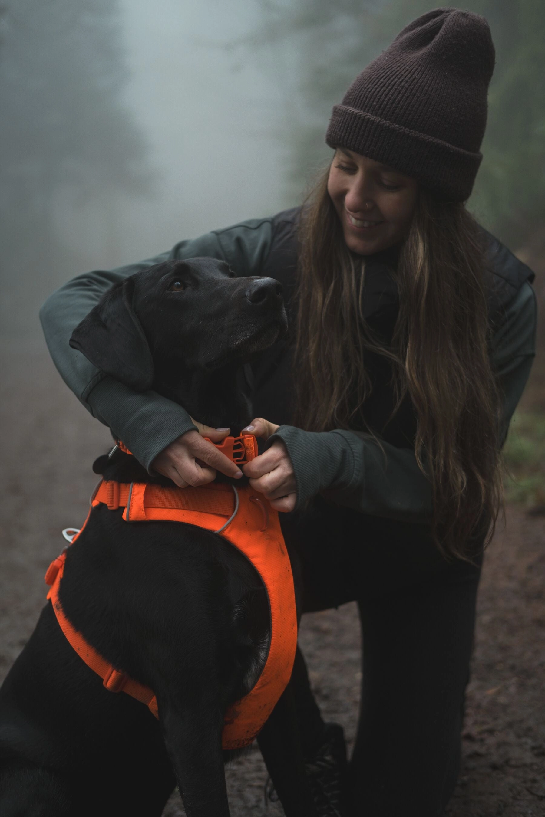 Ruffwear Front Range? Padded Dog Harness (Blaze Orange)
