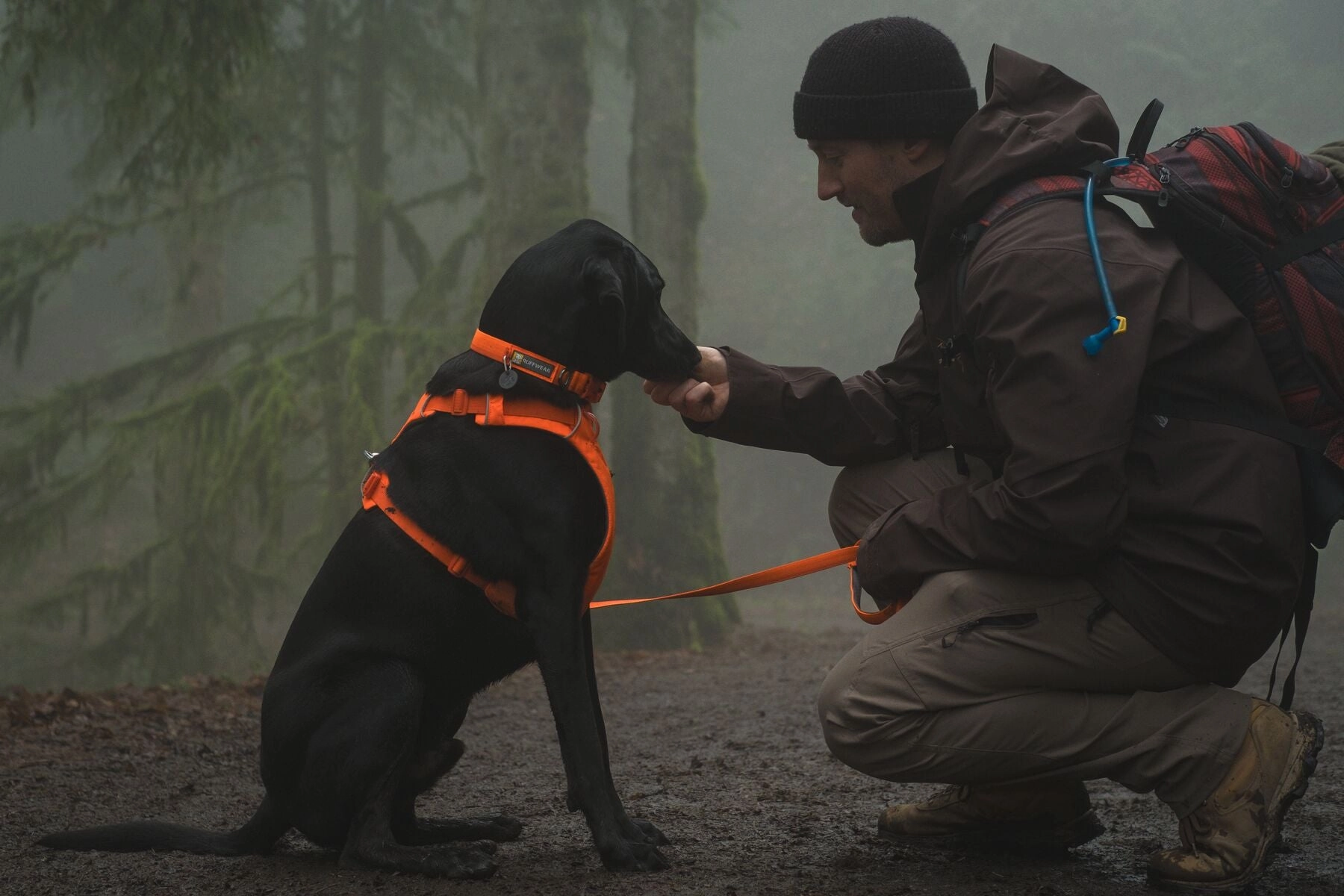 Ruffwear Front Range? Padded Dog Harness (Blaze Orange)